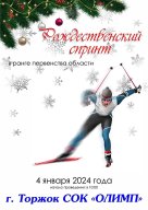 Областные соревнования по лыжным гонкам «Рождественский спринт»
